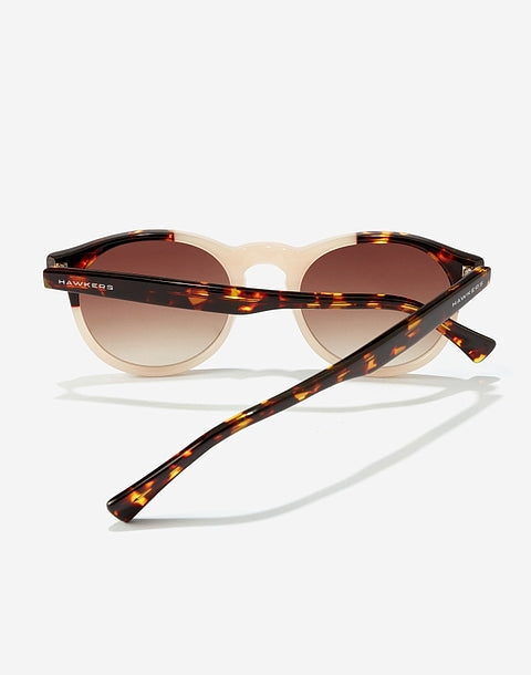 Bicolor Carey Brown Bel Air X