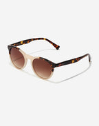 Bicolor Carey Brown Bel Air X