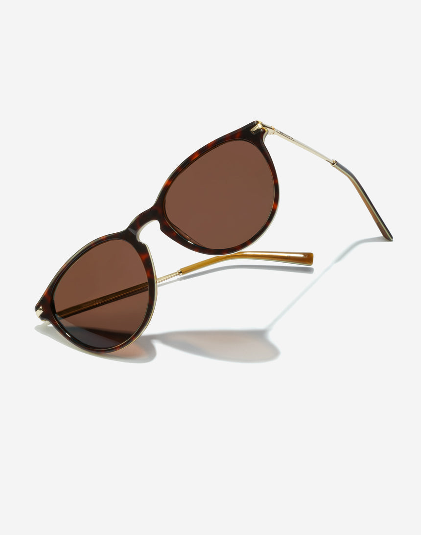 Mark - Polarized Carey Brown
