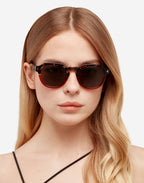 Warwick Pair - Polarized Salamander Dark