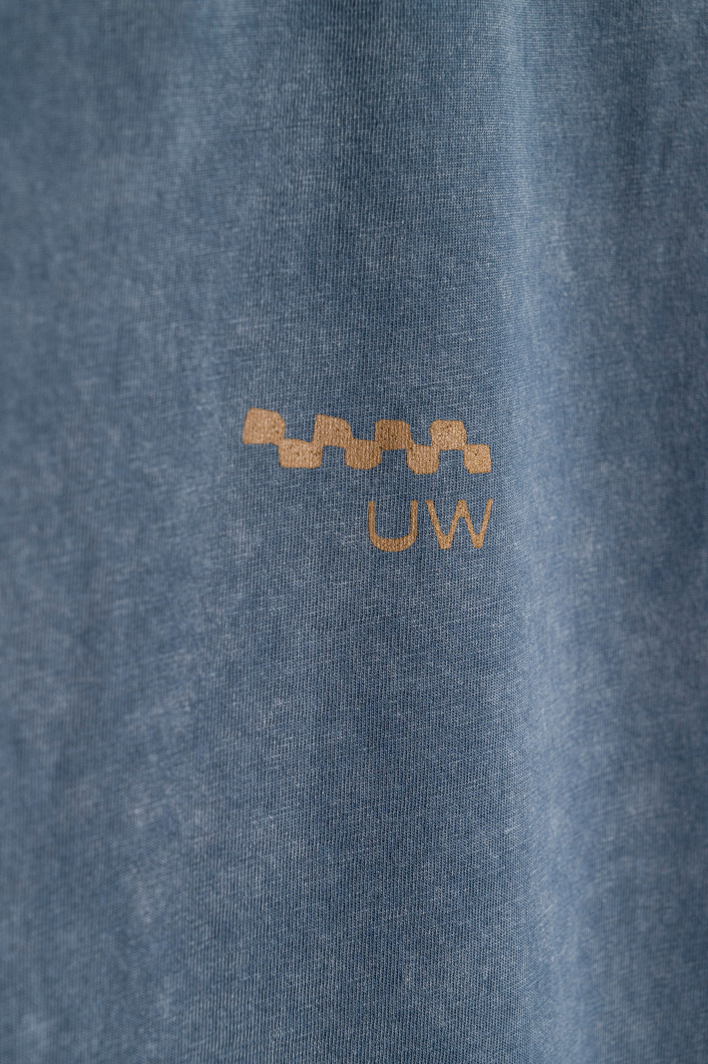 Remera Classic Fit Blue Washed Punto Pez