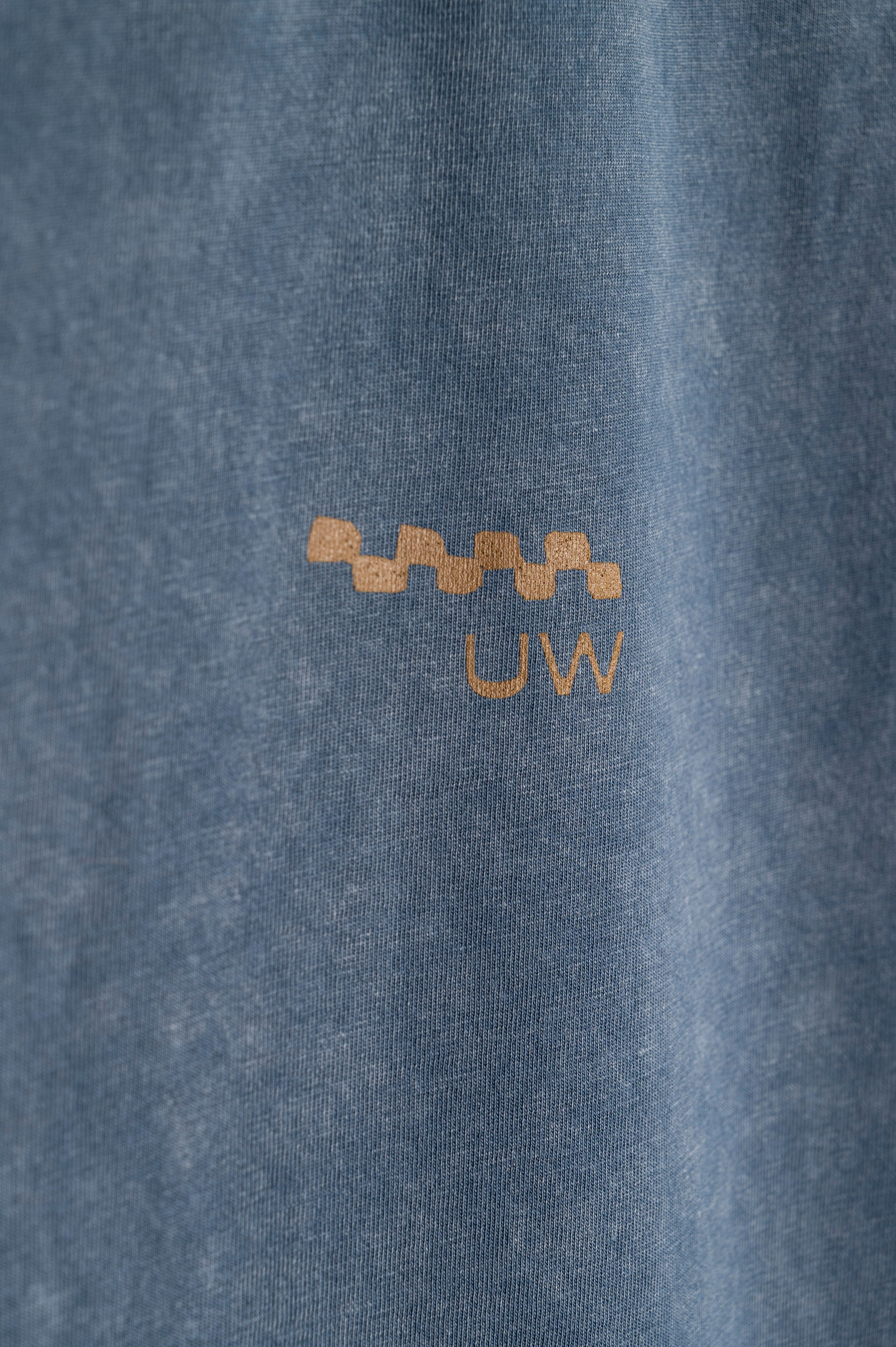 Remera Classic Fit Blue Washed Punto Pez