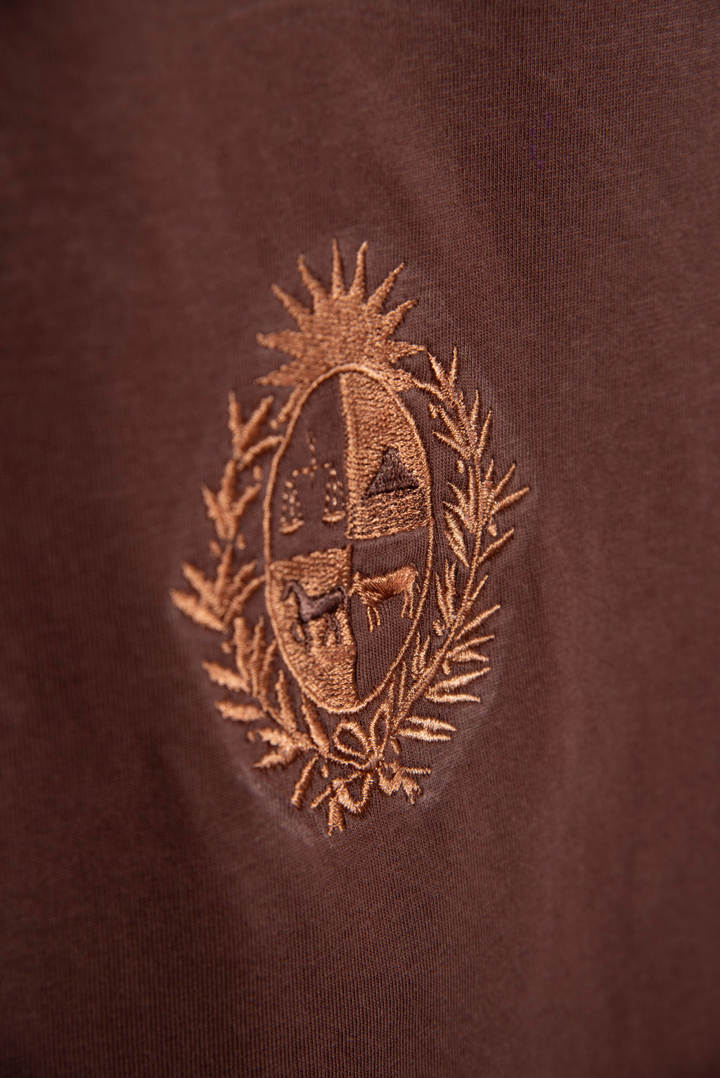 Remera Overbox Brown Escudo Uy
