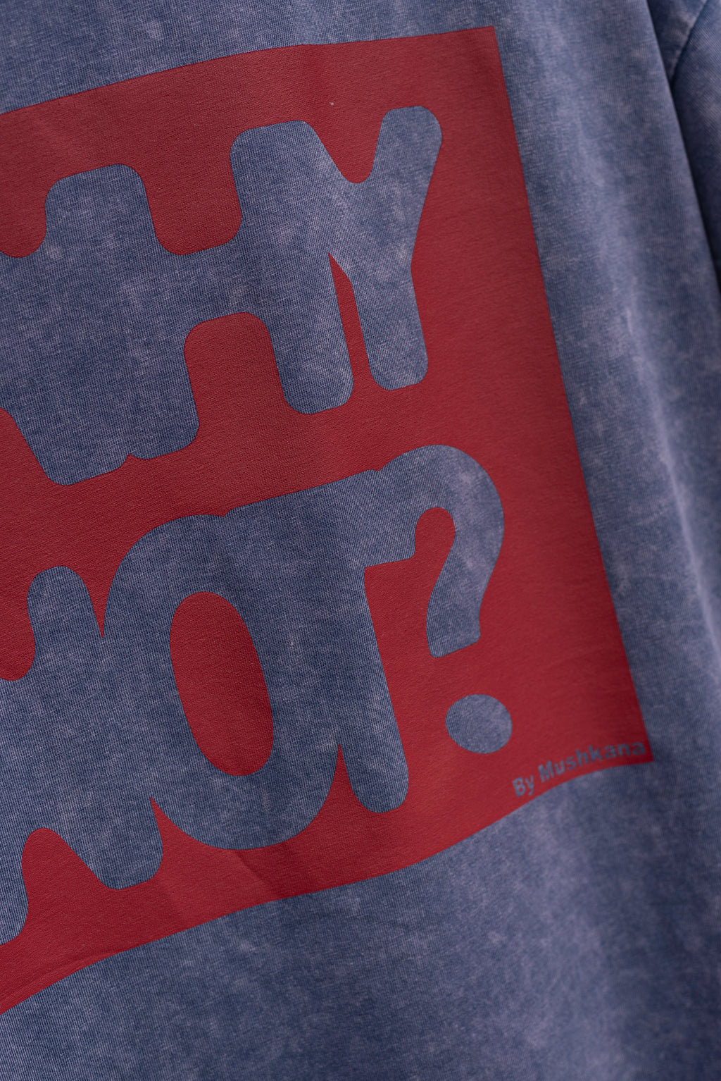 Remera Oversized Blue Washed Why Not