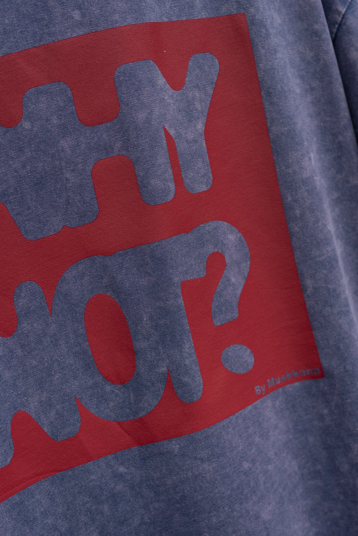 Remera Oversized Blue Washed Why Not