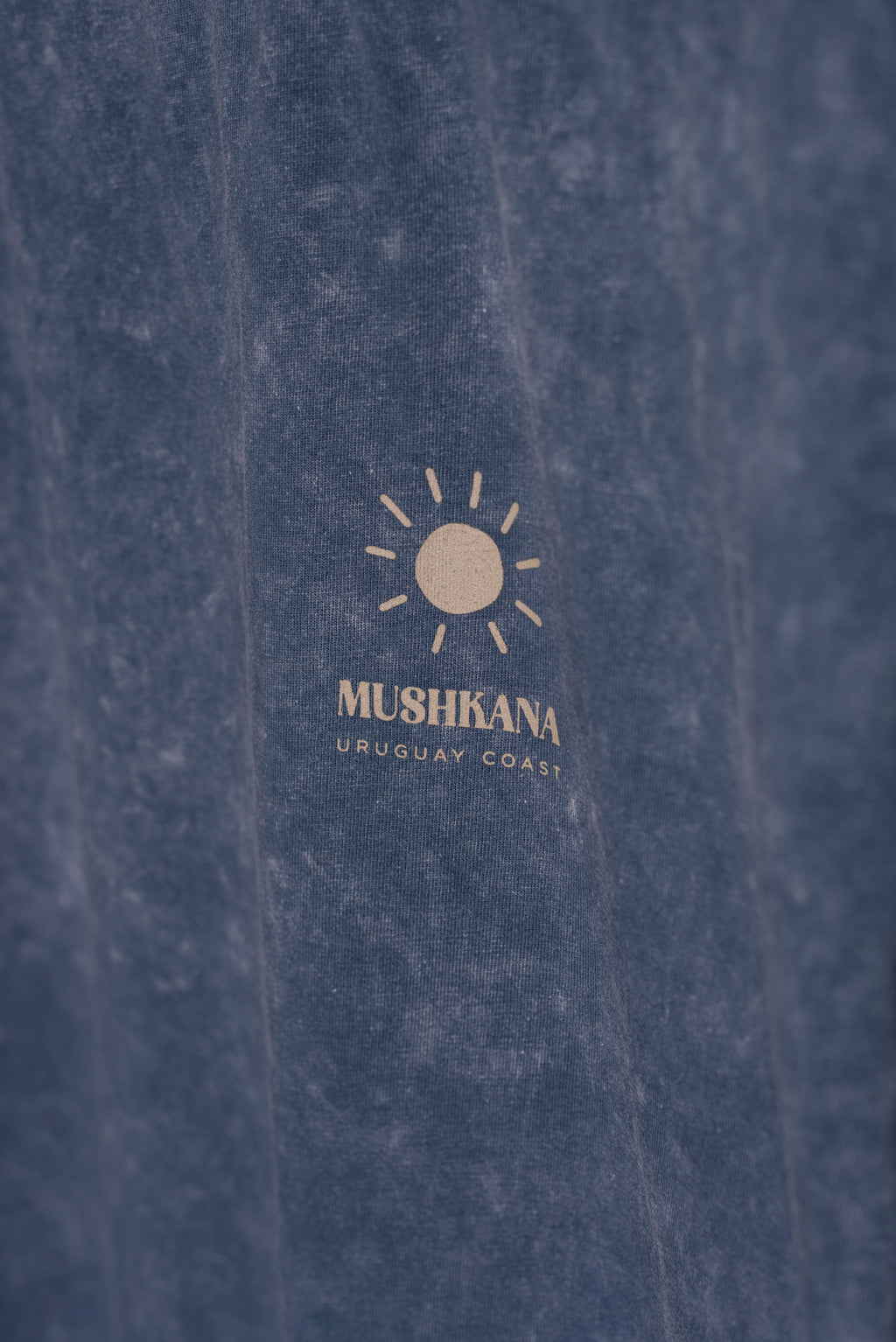 Remera Azul Washed Oversized Do Not Disturb