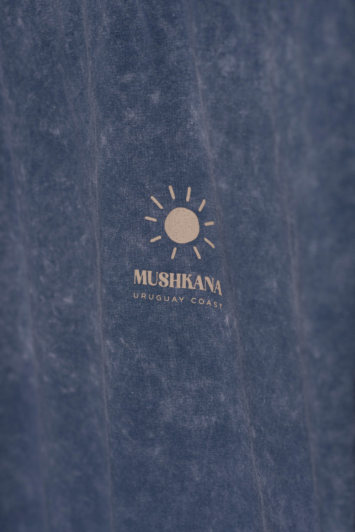 Remera Azul Washed Oversized Do Not Disturb