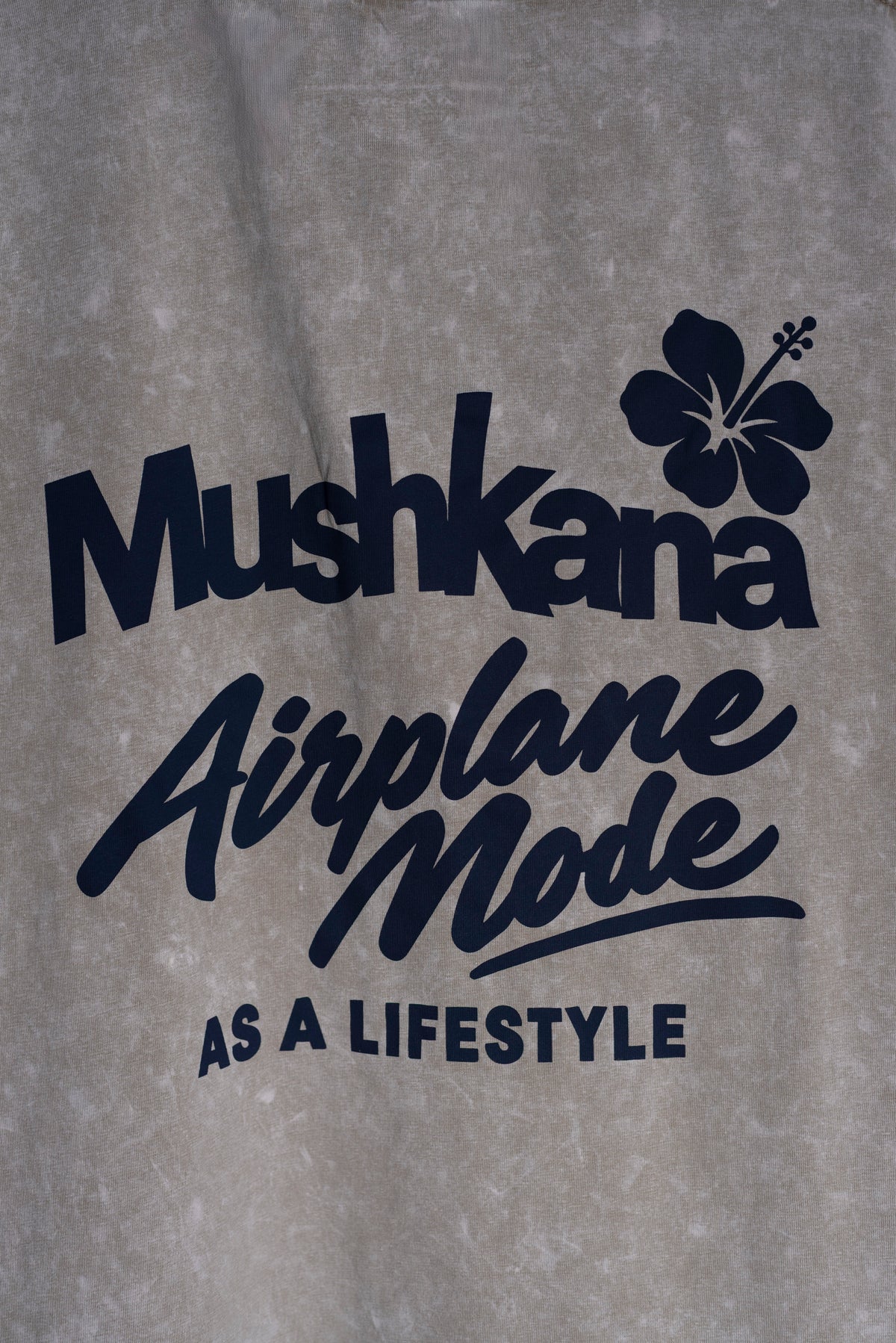 Remera Oversize Kahki Airplane Mode