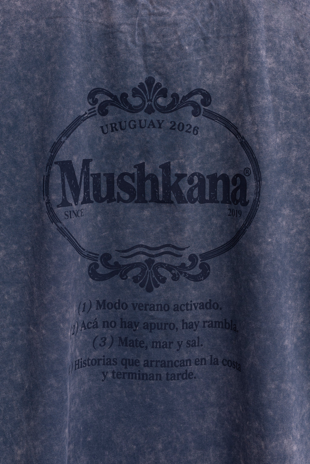 Remera Oversized Blue Washed Horizon