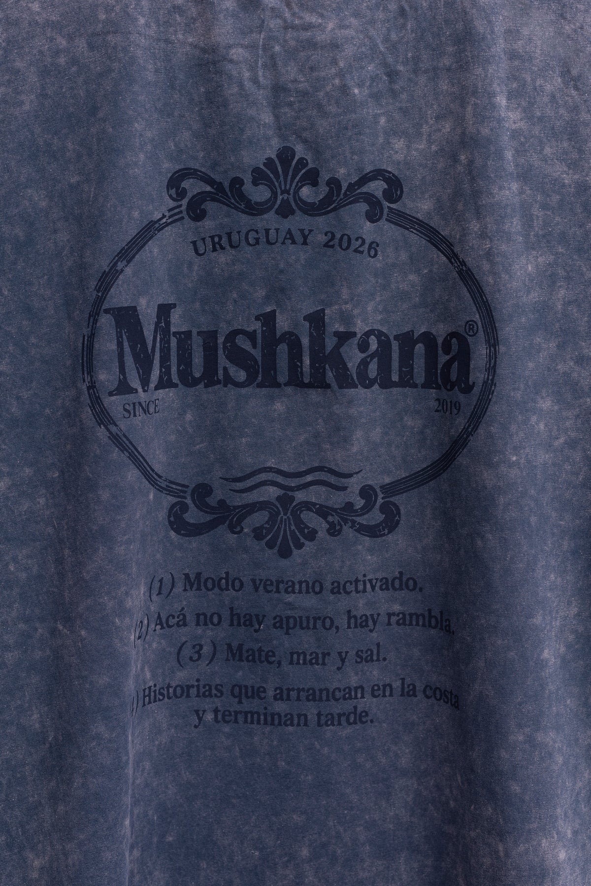 Remera Oversized Blue Washed Horizon