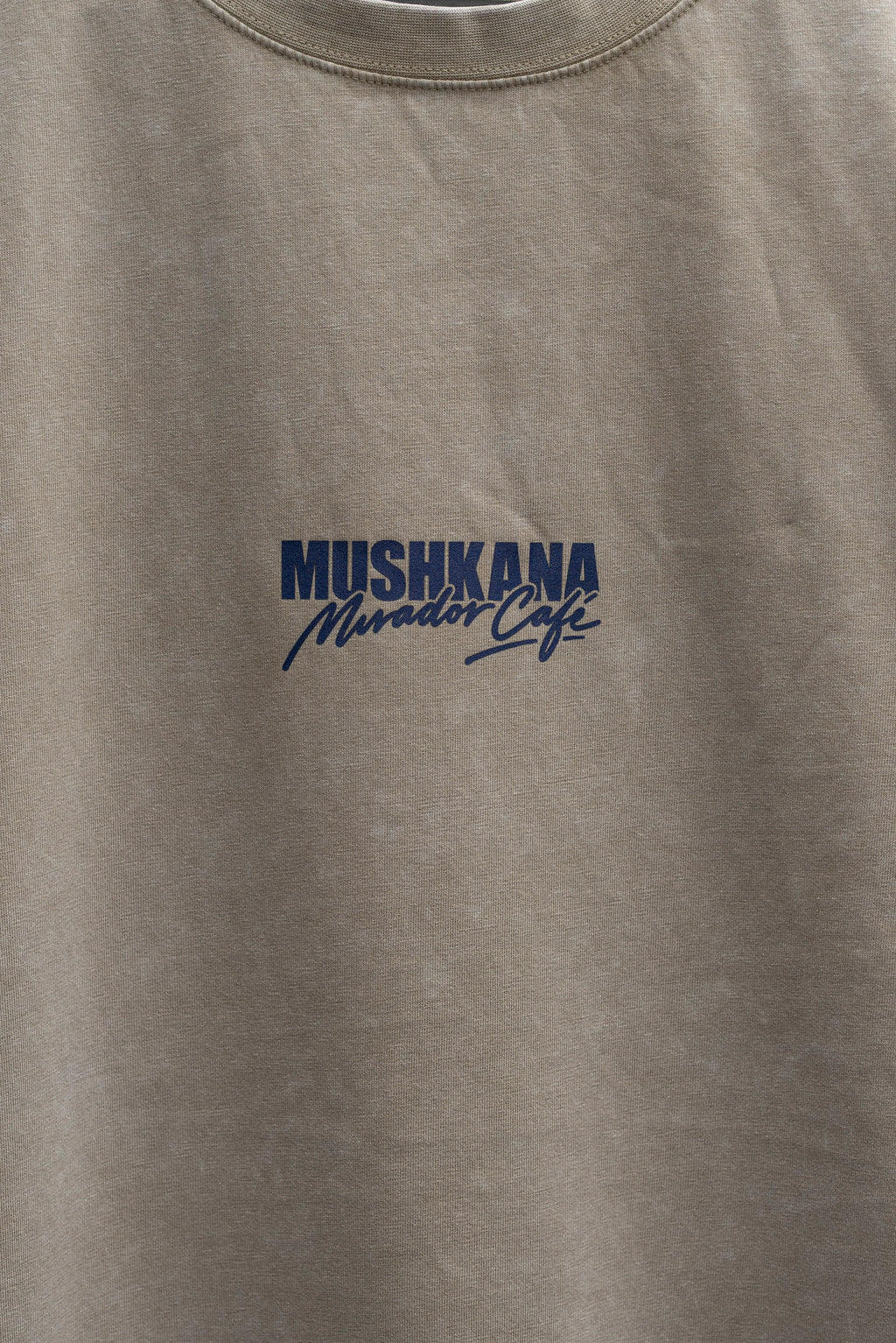 Remera Oversize Kahki Washed Café Mirador