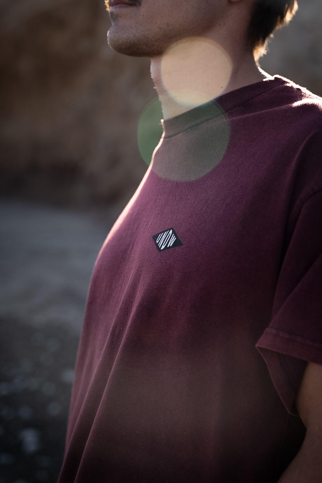 Remera Shape Red Washed