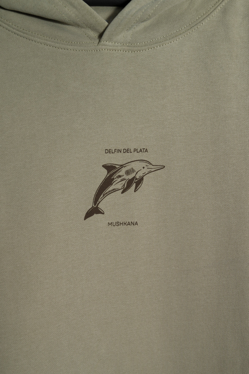Hoodie Grey Oversize Delfin