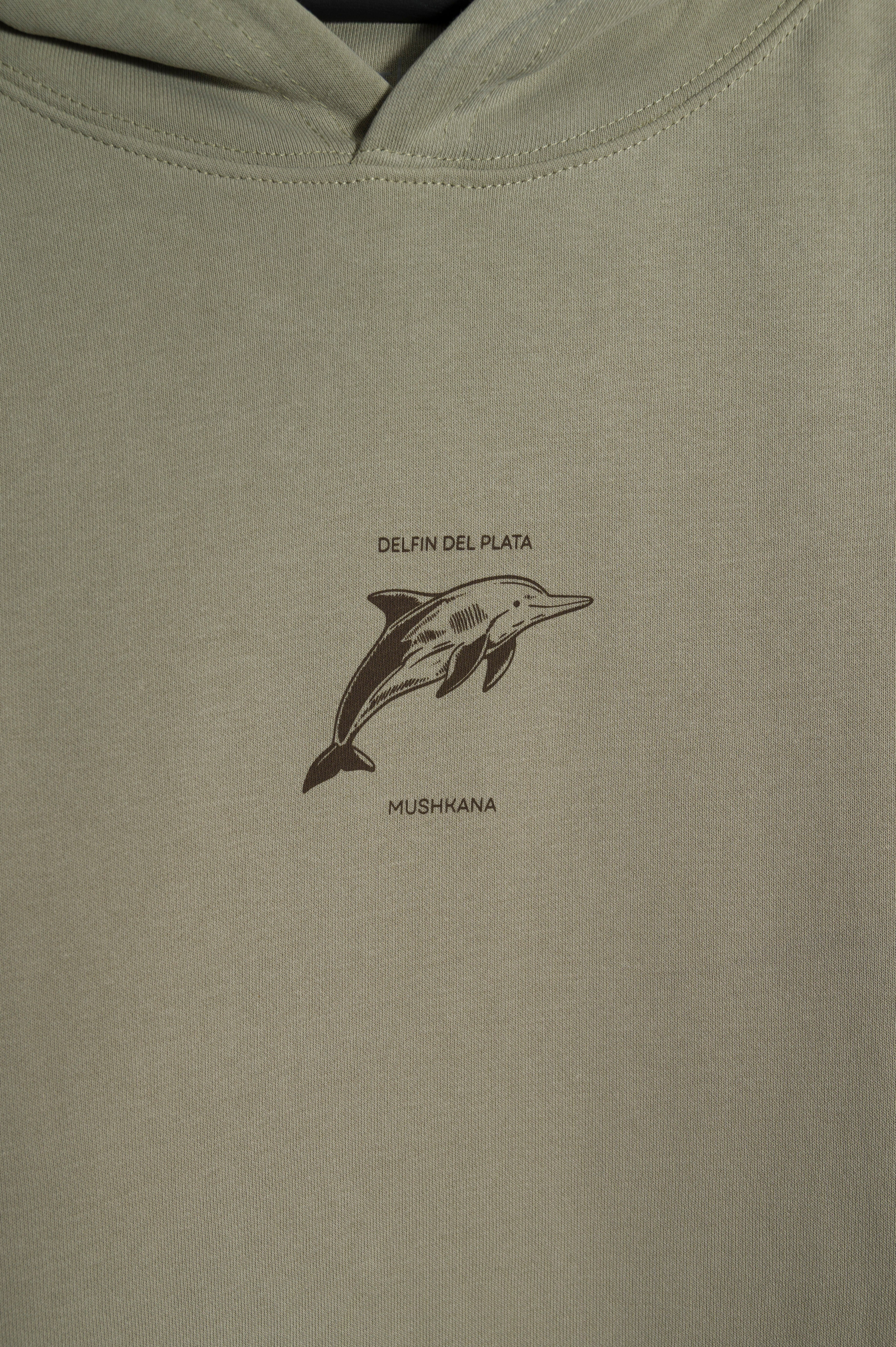 Hoodie Grey Oversize Delfin